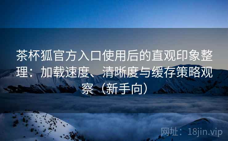 茶杯狐官方入口使用后的直观印象整理：加载速度、清晰度与缓存策略观察（新手向）