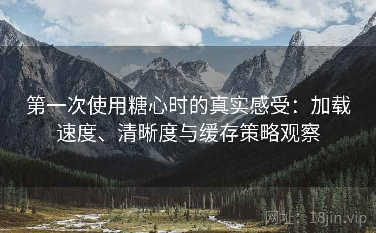 第一次使用糖心时的真实感受：加载速度、清晰度与缓存策略观察