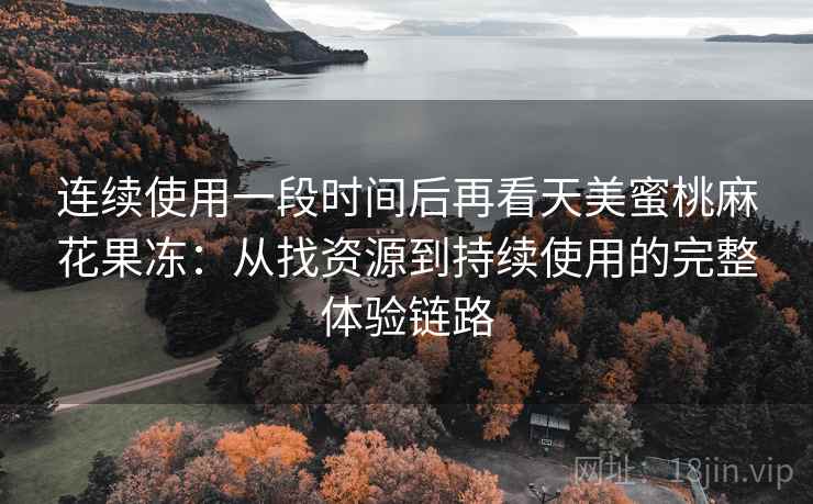 连续使用一段时间后再看天美蜜桃麻花果冻：从找资源到持续使用的完整体验链路