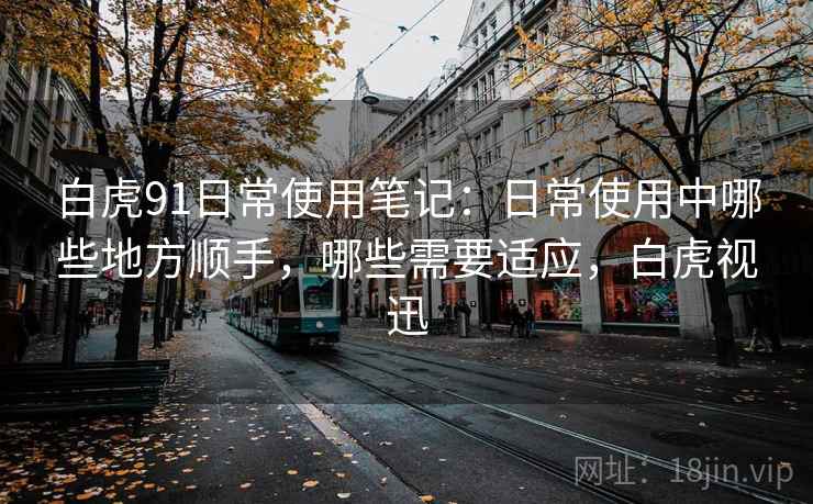 白虎91日常使用笔记：日常使用中哪些地方顺手，哪些需要适应，白虎视迅