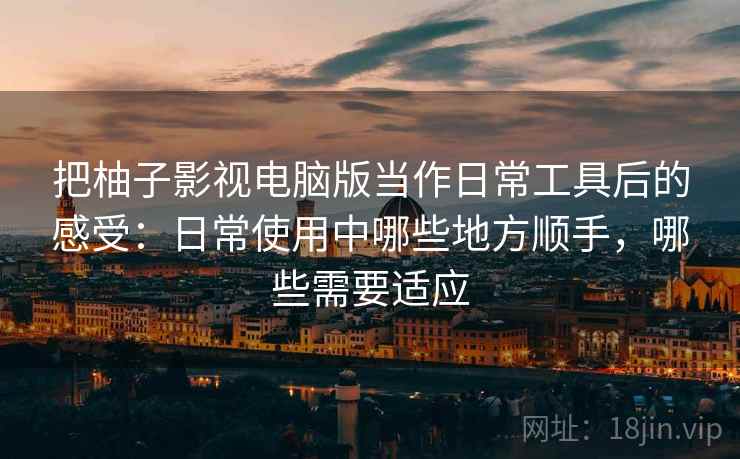 把柚子影视电脑版当作日常工具后的感受：日常使用中哪些地方顺手，哪些需要适应