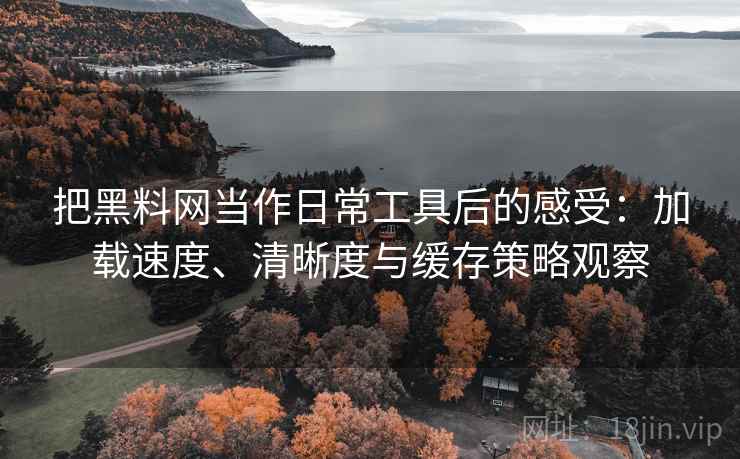 把黑料网当作日常工具后的感受：加载速度、清晰度与缓存策略观察