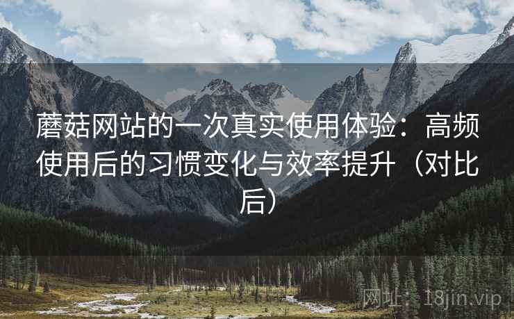 蘑菇网站的一次真实使用体验：高频使用后的习惯变化与效率提升（对比后）